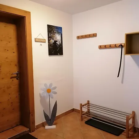 Momo * Elbigenalp